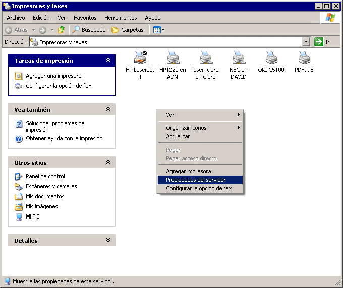Propiedades del servidor de impresión en Windows XP (Impresoras y faxes)
